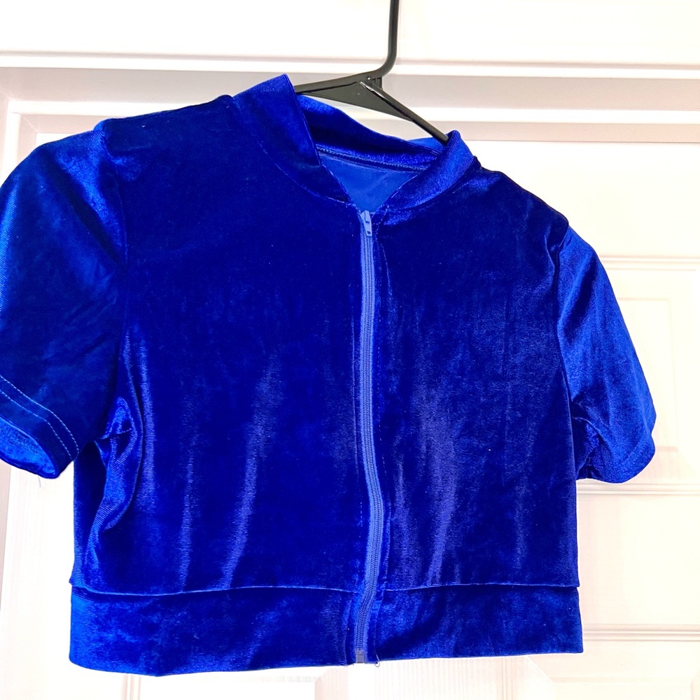 Electric Blue Velvet Velour Y2K Cropped Zip Front Top - Sapphire Royal Blue
